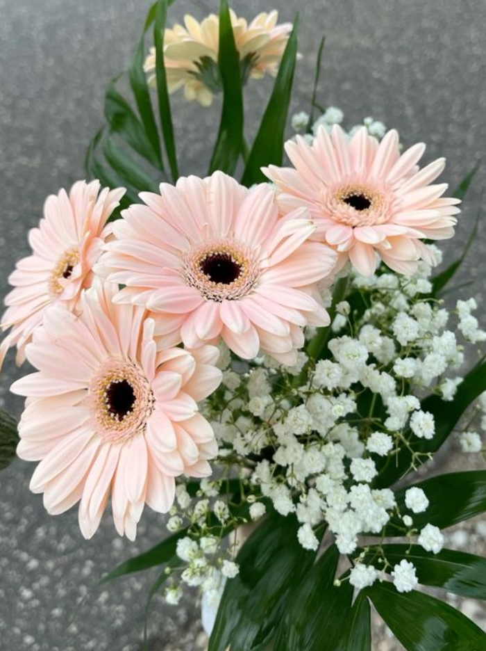 Ramo Gerberas