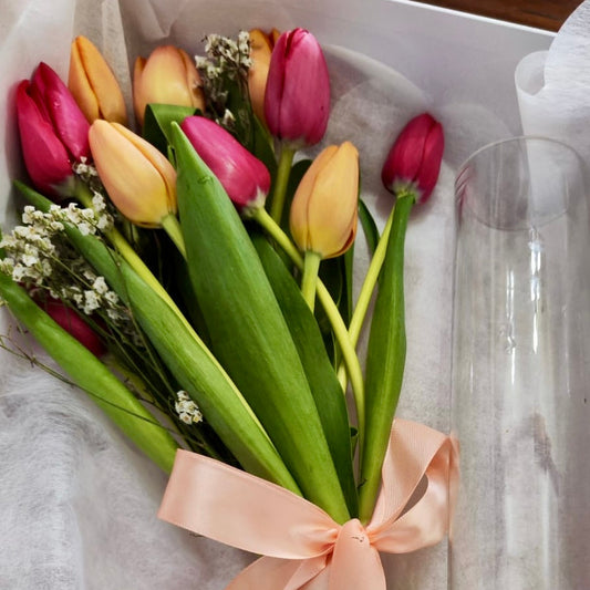 Box Premium Tulipanes / Florero